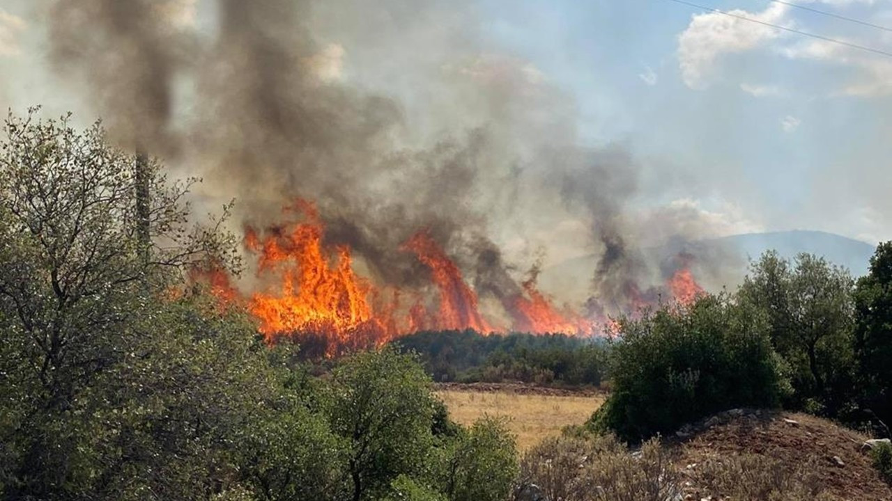 Mora Yarımadası'ndaki yangında 1 kişi öldü