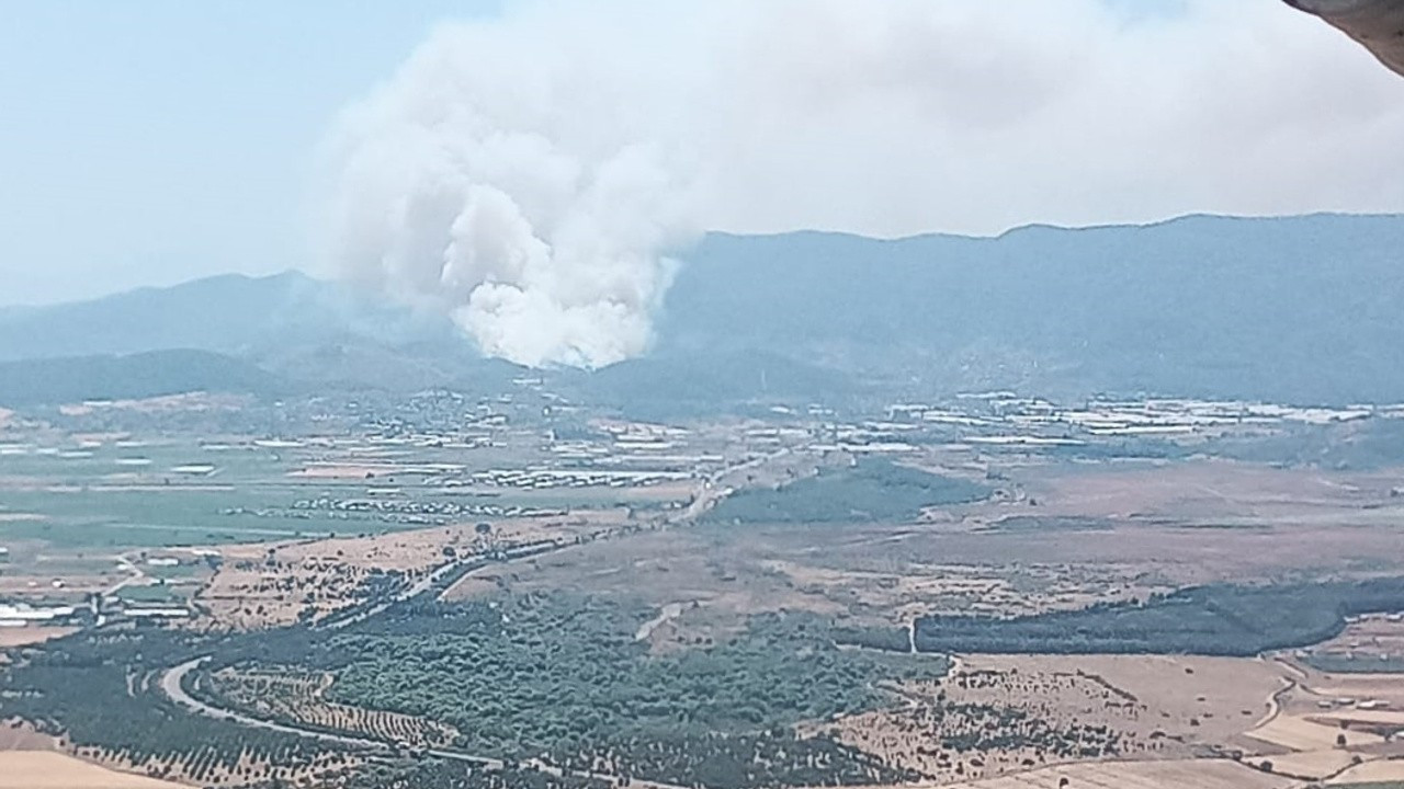 İzmir, Menderes'te orman yangını: Müdahaleler sürüyor