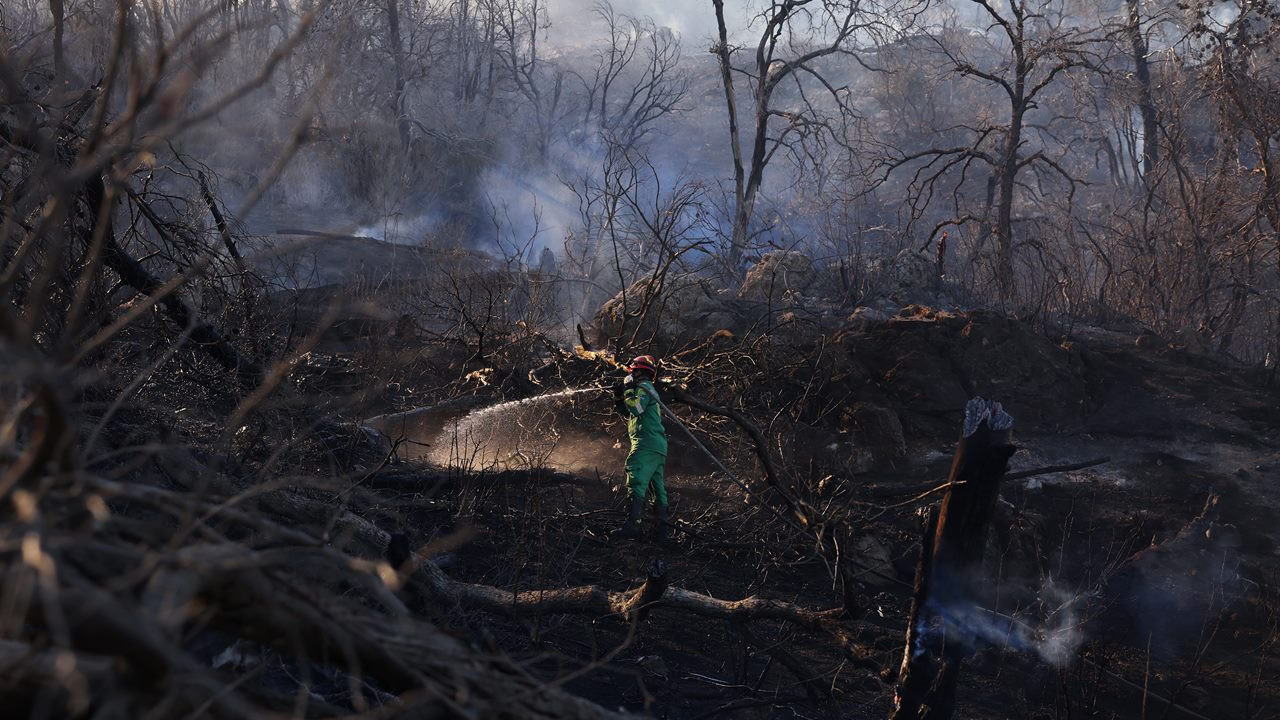 Yunanistan'da tehlikeli yangın: Atina'ya 50 kilometre kala durduruldu