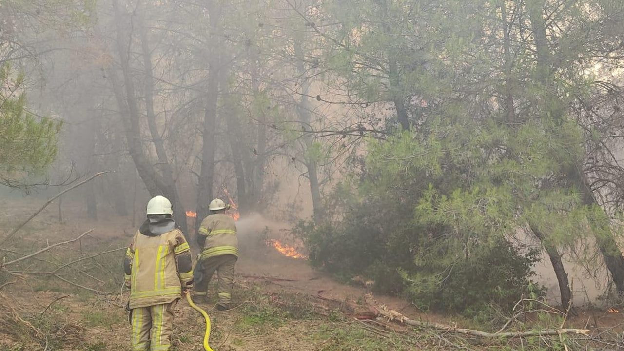 İzmir'deki orman yangınına tutuklama: Mangal yakarken kıvılcım sıçramış!