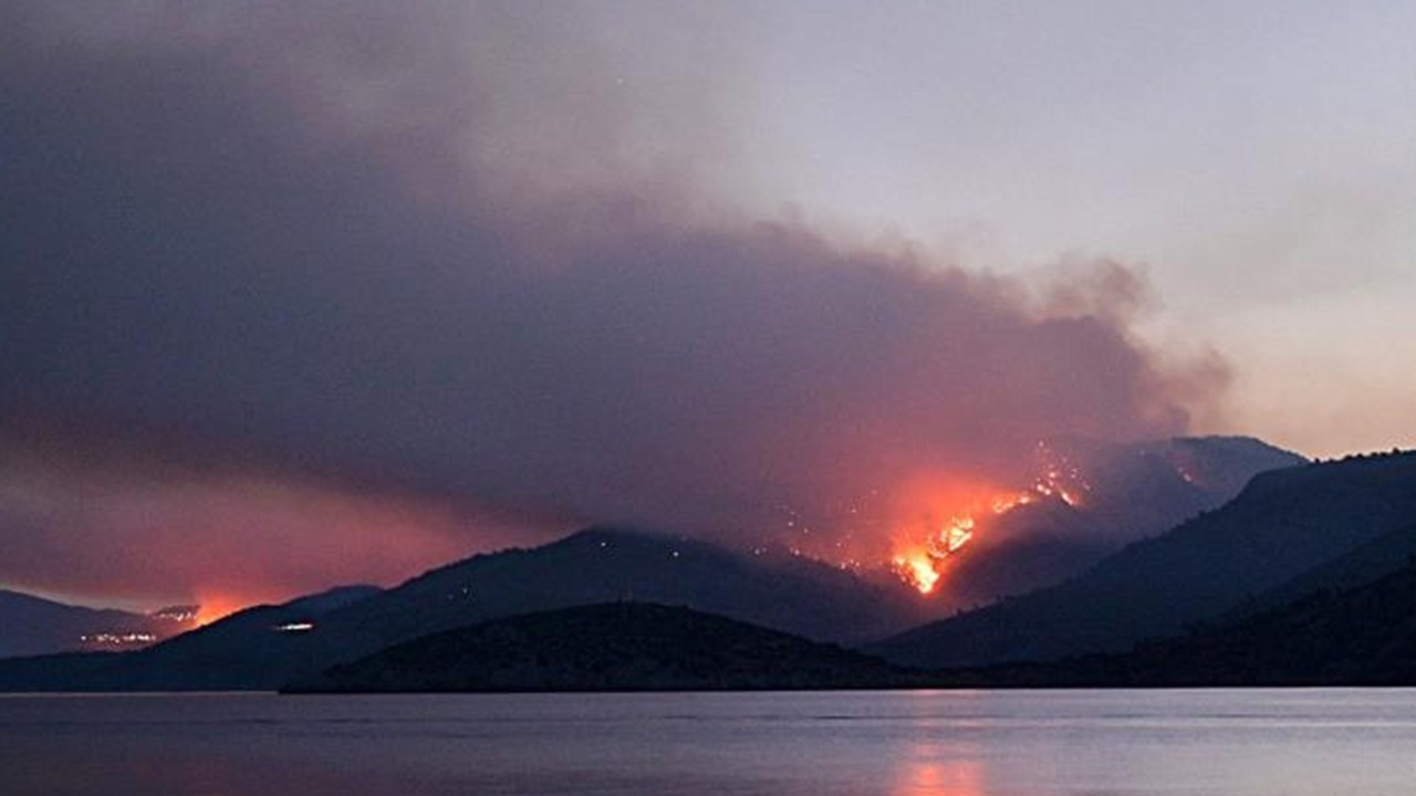 Yılda yaklaşık 8 bin hektar orman alanı yanıyor