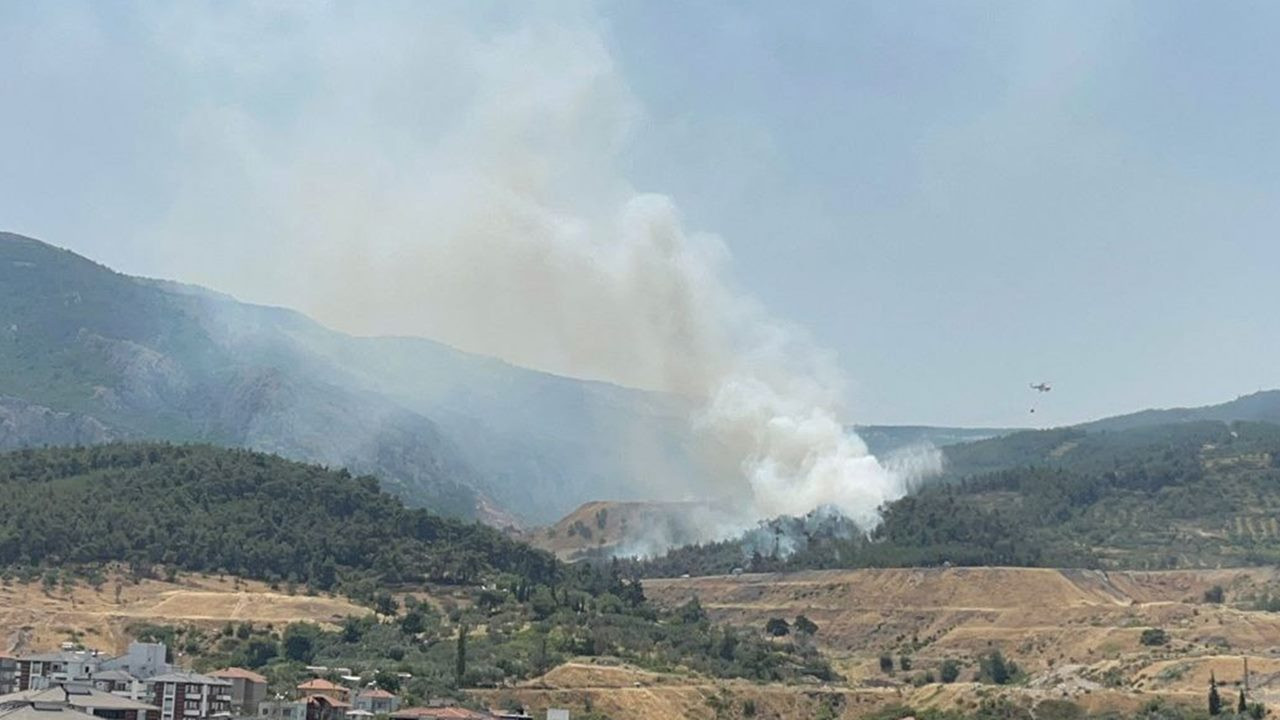 Soma'da yerleşim yerlerine yakın orman yangını!