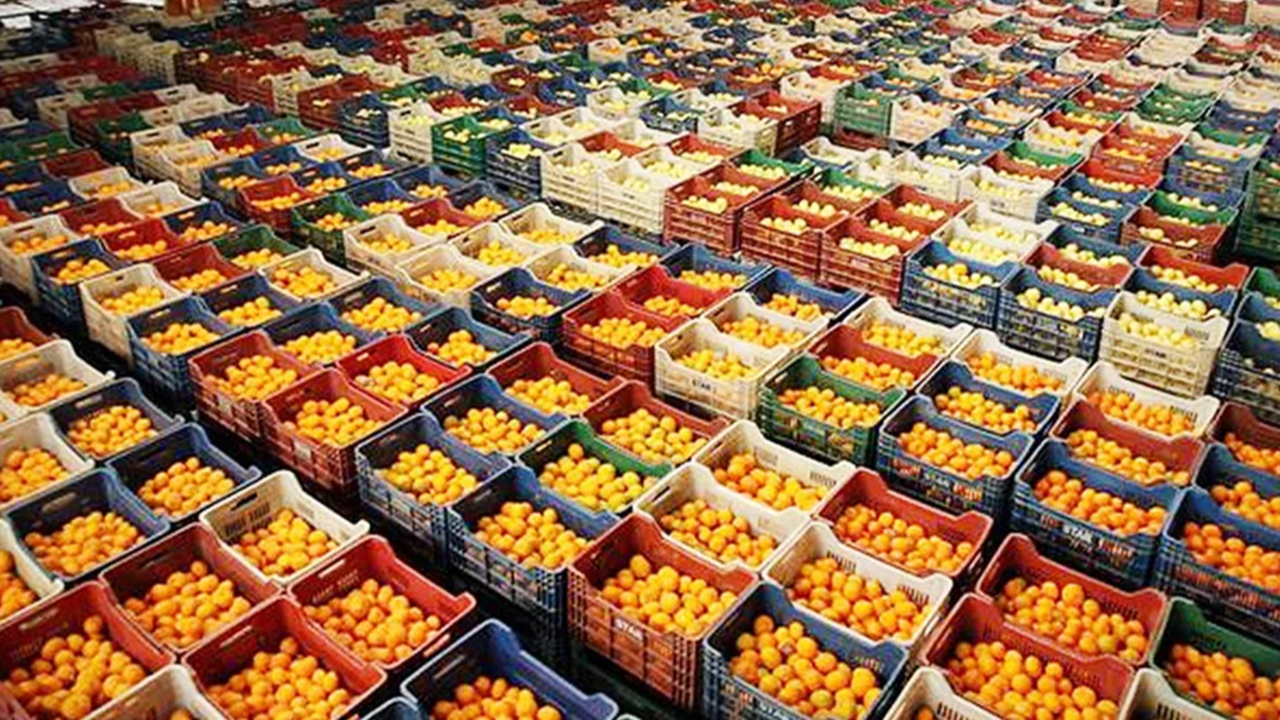2024 sebze-meyve ihracat geliri: 1,3 milyar dolar