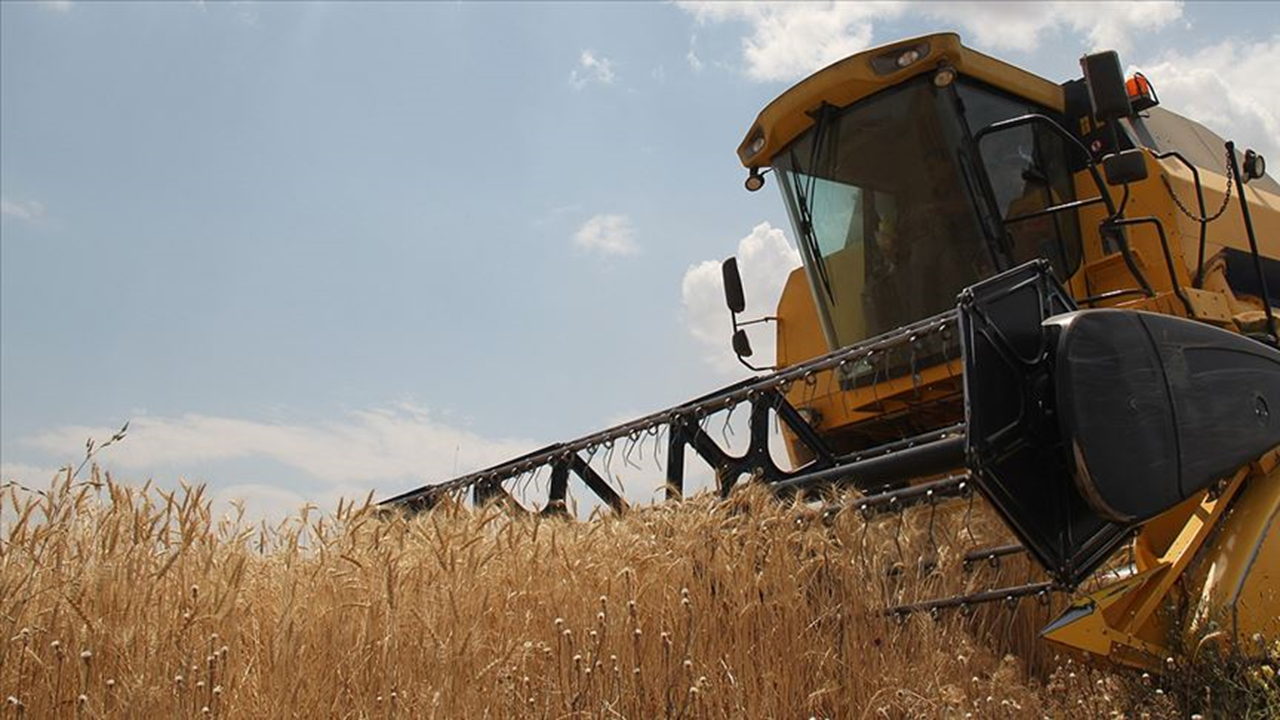 Bayraktar: Arpa ve buğday müdahale alım fiyatlarının revize edilmesi şart!