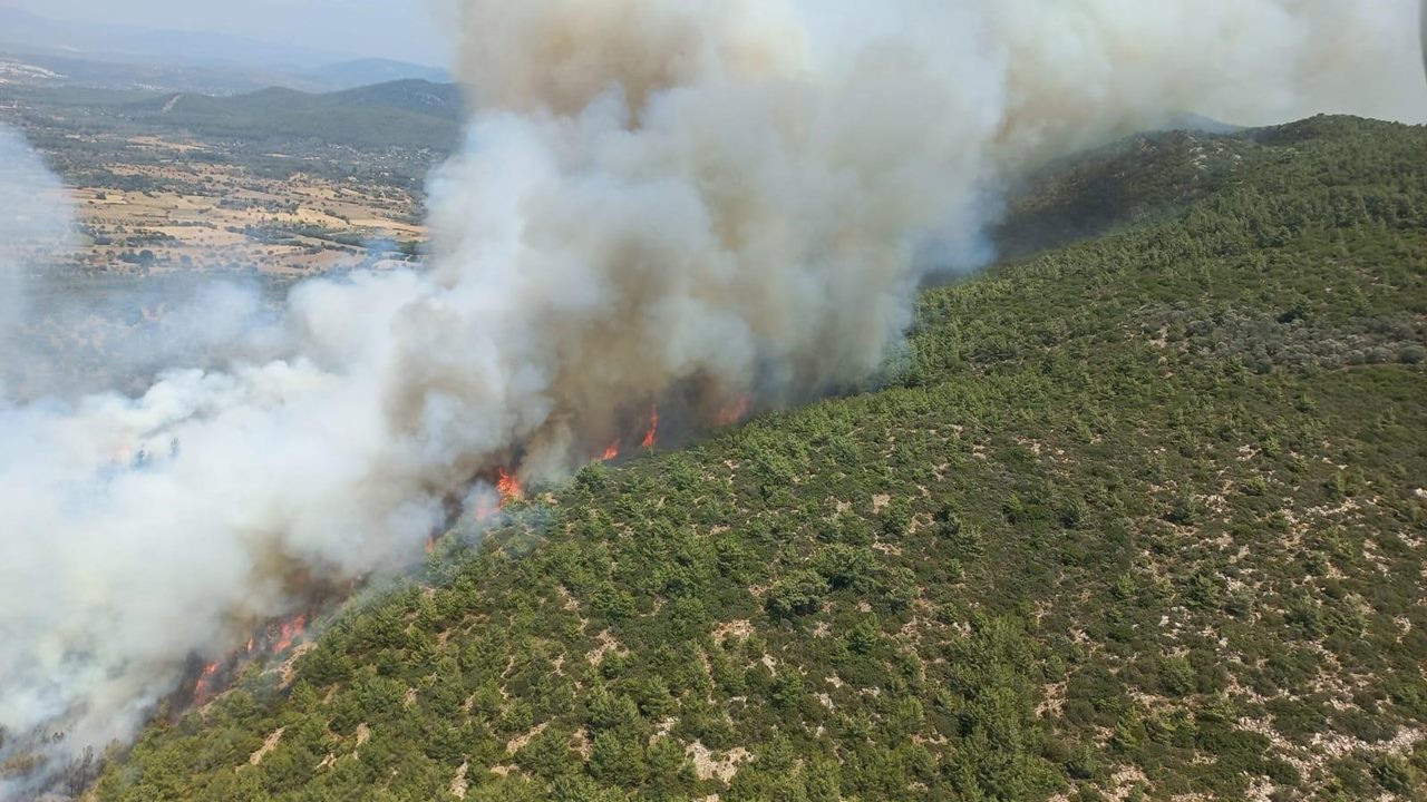SON DAKİKA: Muğla Bodrum'da orman yangını! Havadan ve karadan müdahale ediliyor