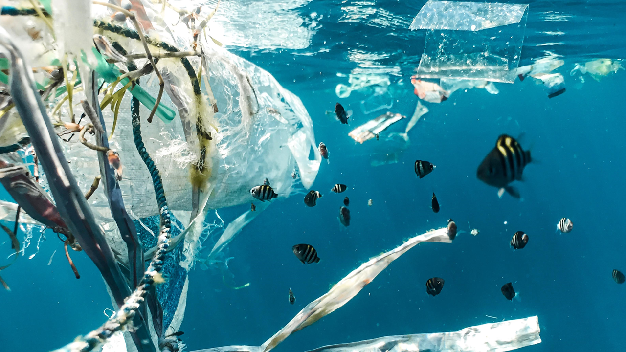 Akdeniz'de metrekare başına 1,9 milyon plastik düşüyor!