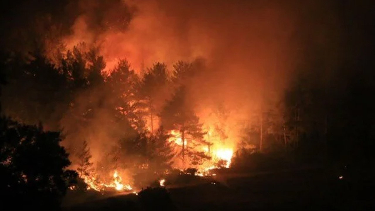 Türkiye'deki orman yangınlarında son durum!