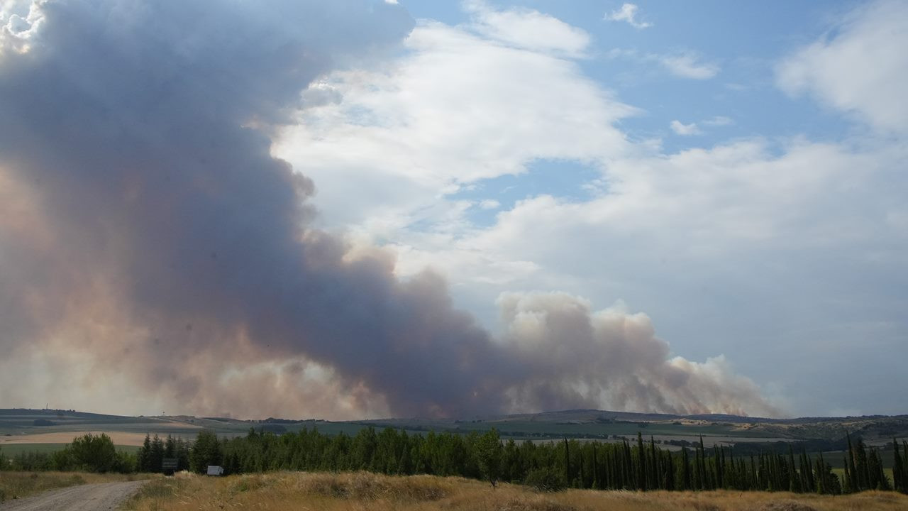Bulgaristan’da çıkan yangın Edirne'nin köylerine ilerliyor