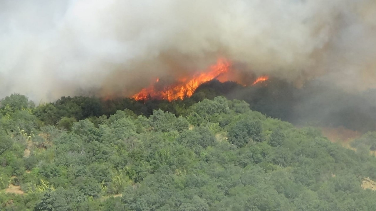 Çanakkale Valiliği'nden orman yangınlarına karşı uyarı