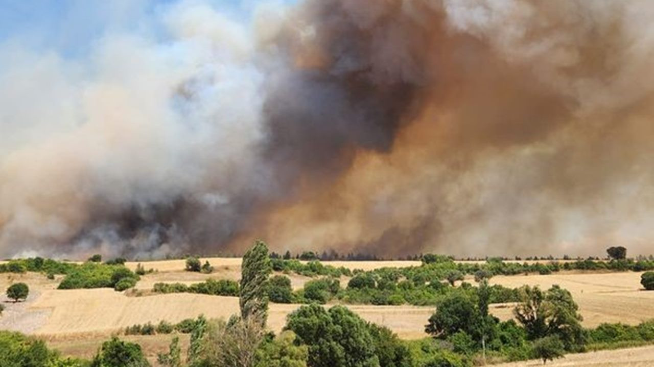 SON DAKİKA: Balıkesir Altıeylül'de orman yangını... Bir mahalle boşaltıldı