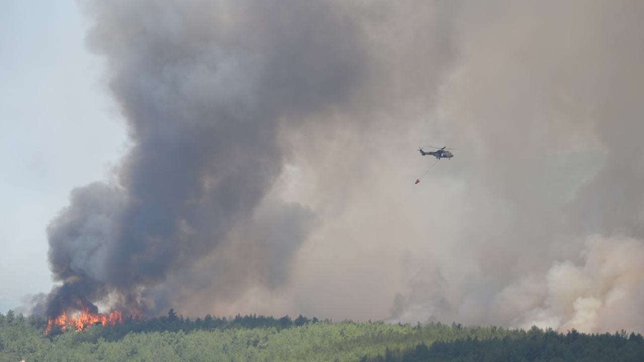 İzmir Gaziemir'de orman yangını: Adnan Menderes Havalimanı'nda seferlerde aksama
