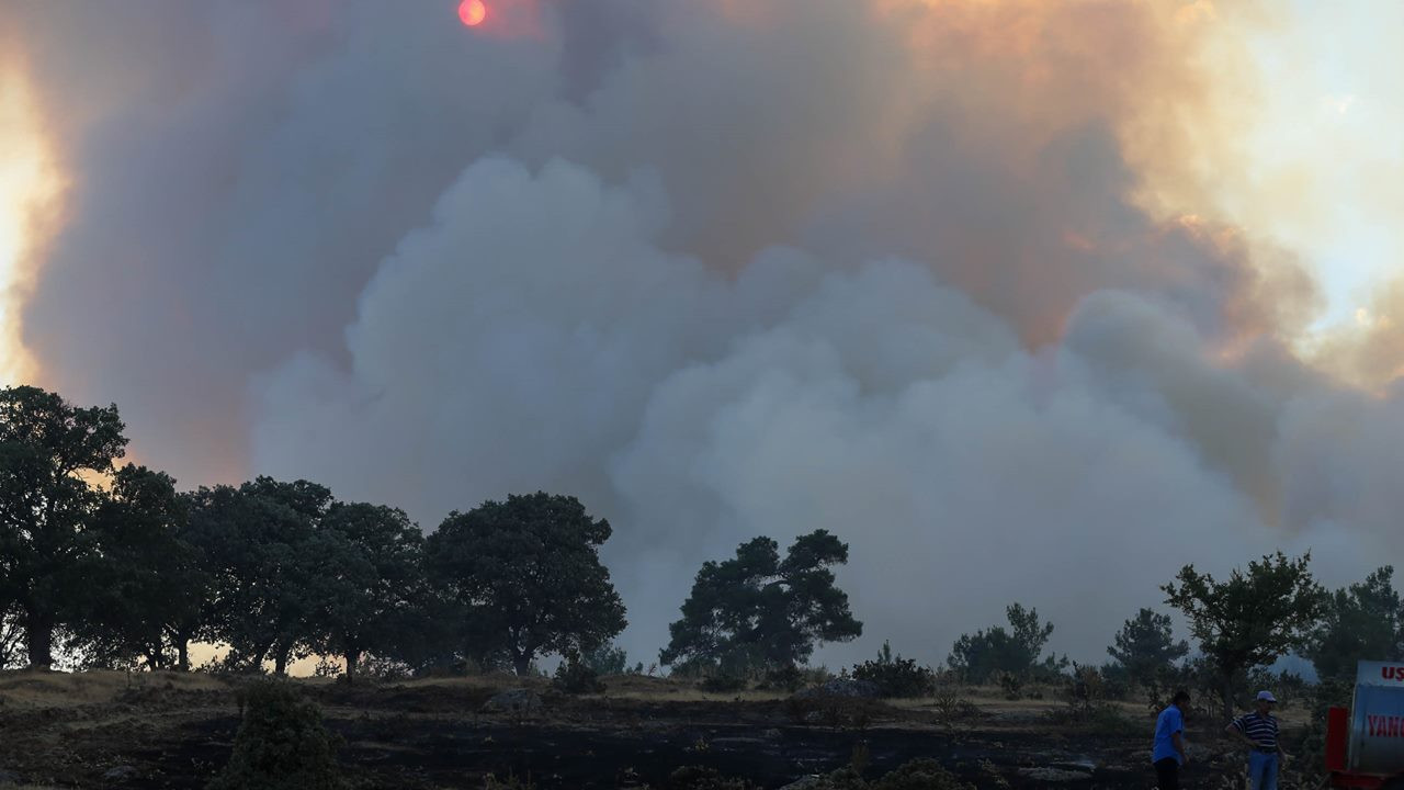 SON DAKİKA: Uşak'ta orman yangını! Evler tahliye edildi