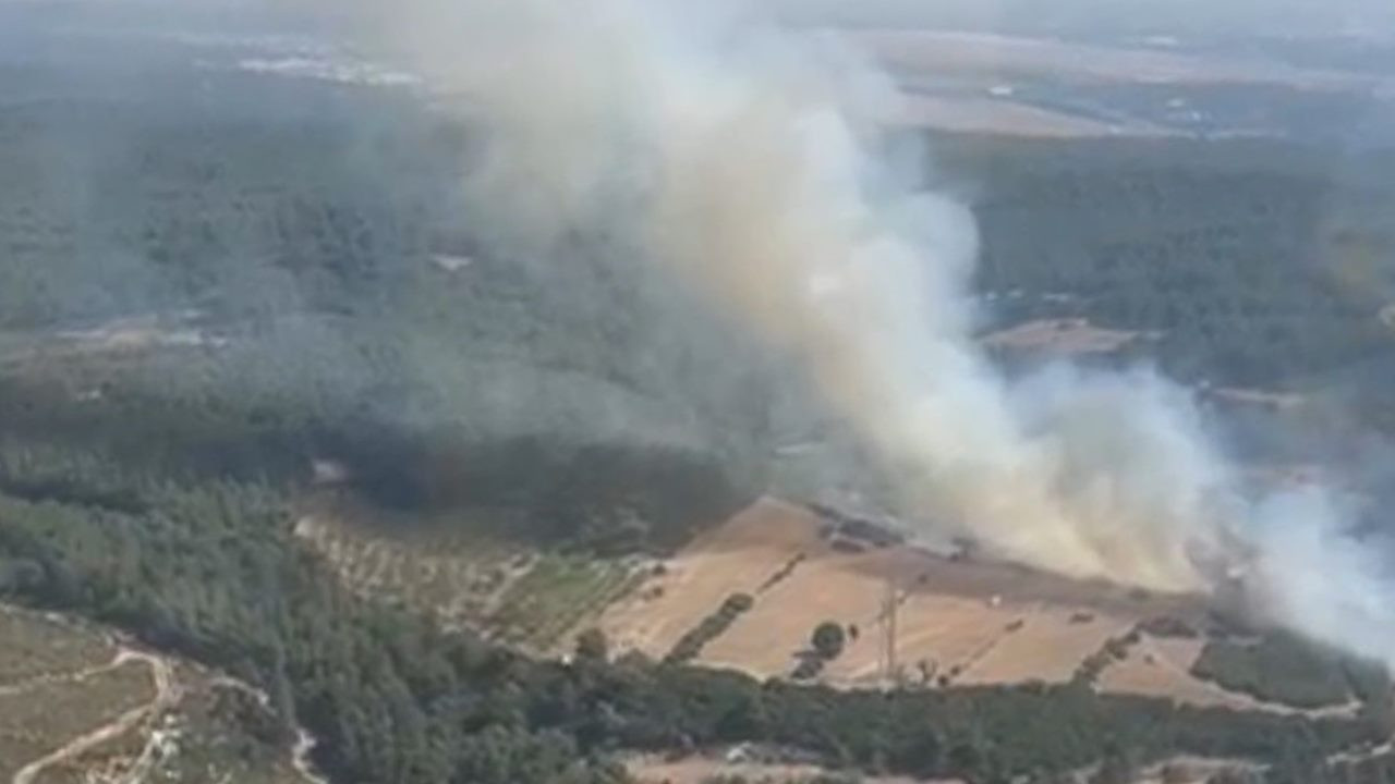 SON DAKİKA: İzmir Buca'da orman yangını