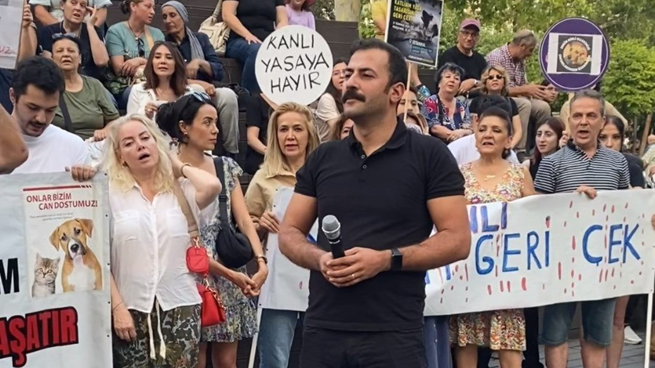 CHP Eskişehir İl Başkanı Talat Yalaz'a 'köpek yasası' soruşturması