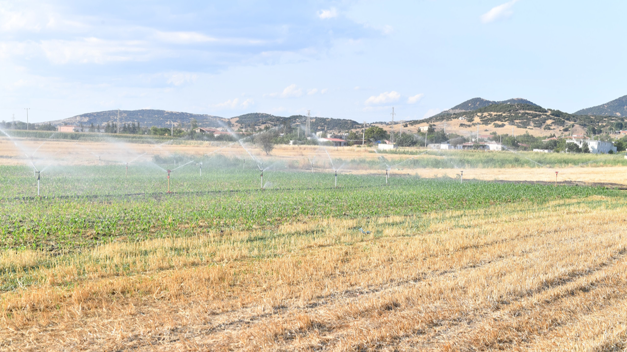 Edirne'de tarımsal üretimi artırmaya dair yeni adım