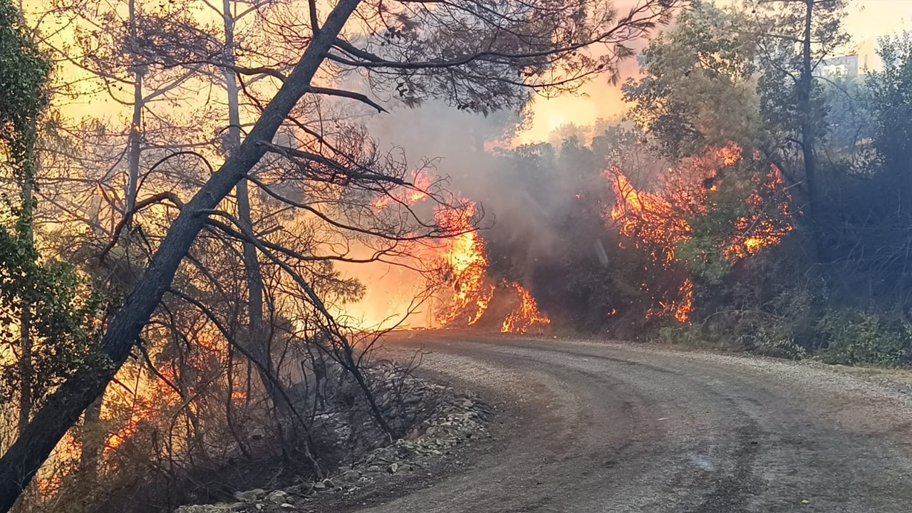 Alevlerle mücadele sürüyor: 3 ilde orman yangını