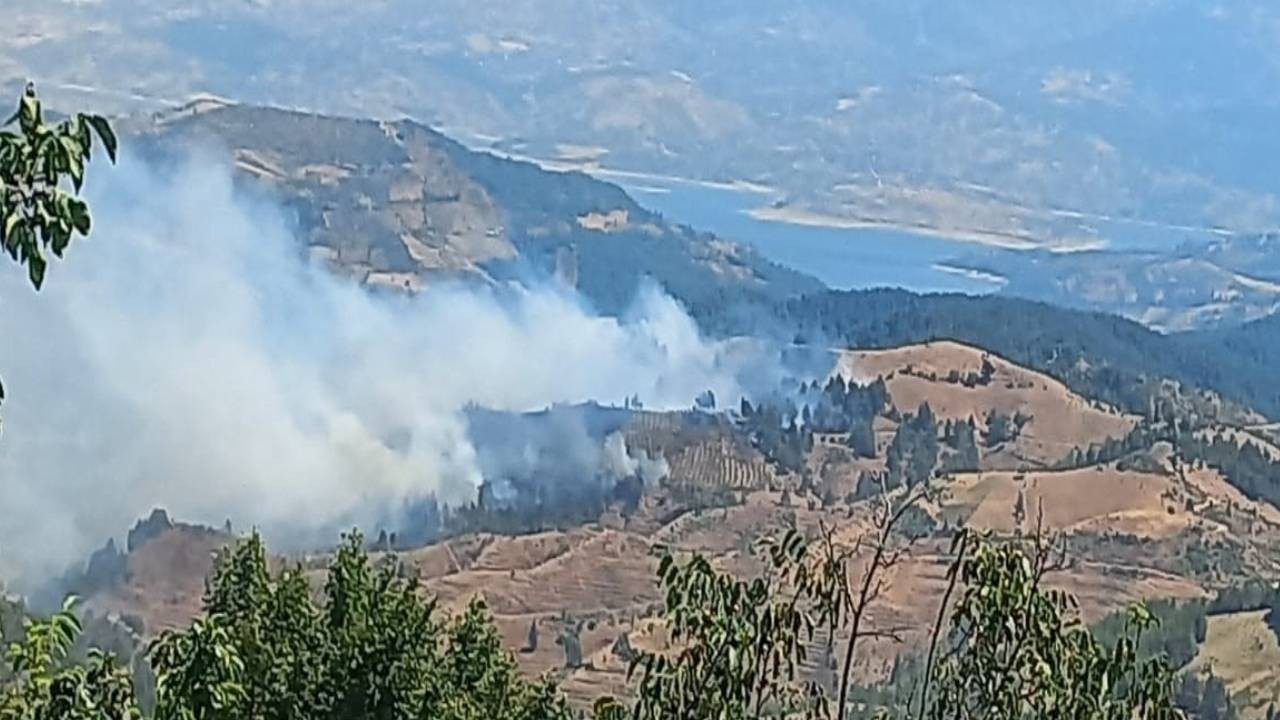 Son dakika... Kahramanmaraş'ta orman yangını: Bölgeye girişe izin verilmiyor
