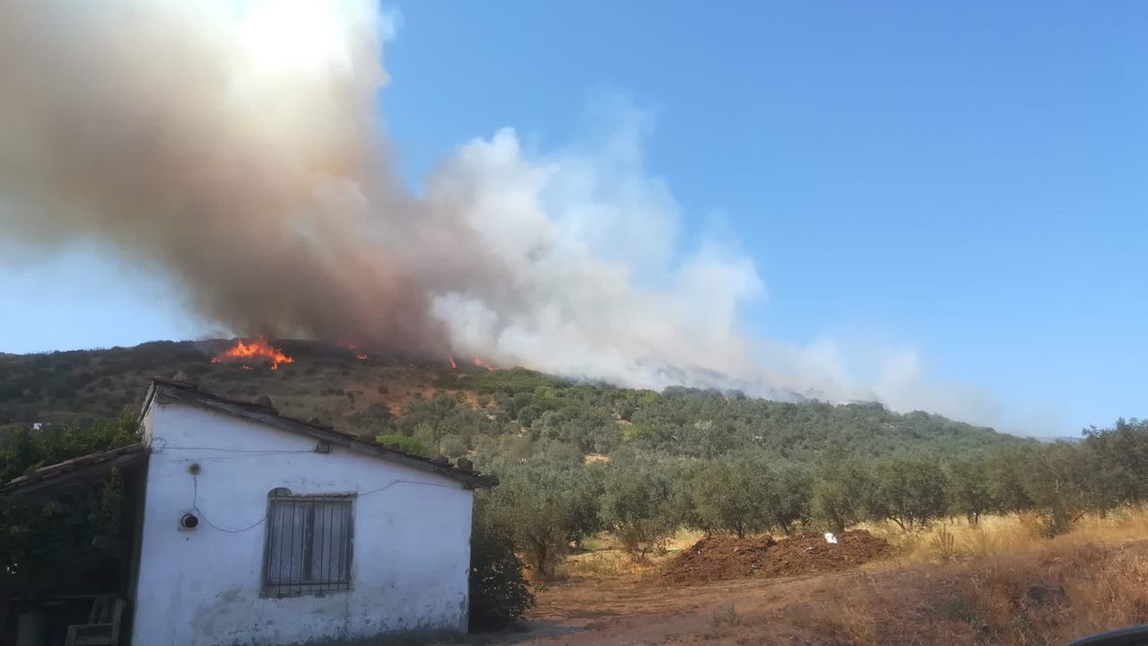 SON DAKİKA: Balıkesir Erdek'te orman yangını