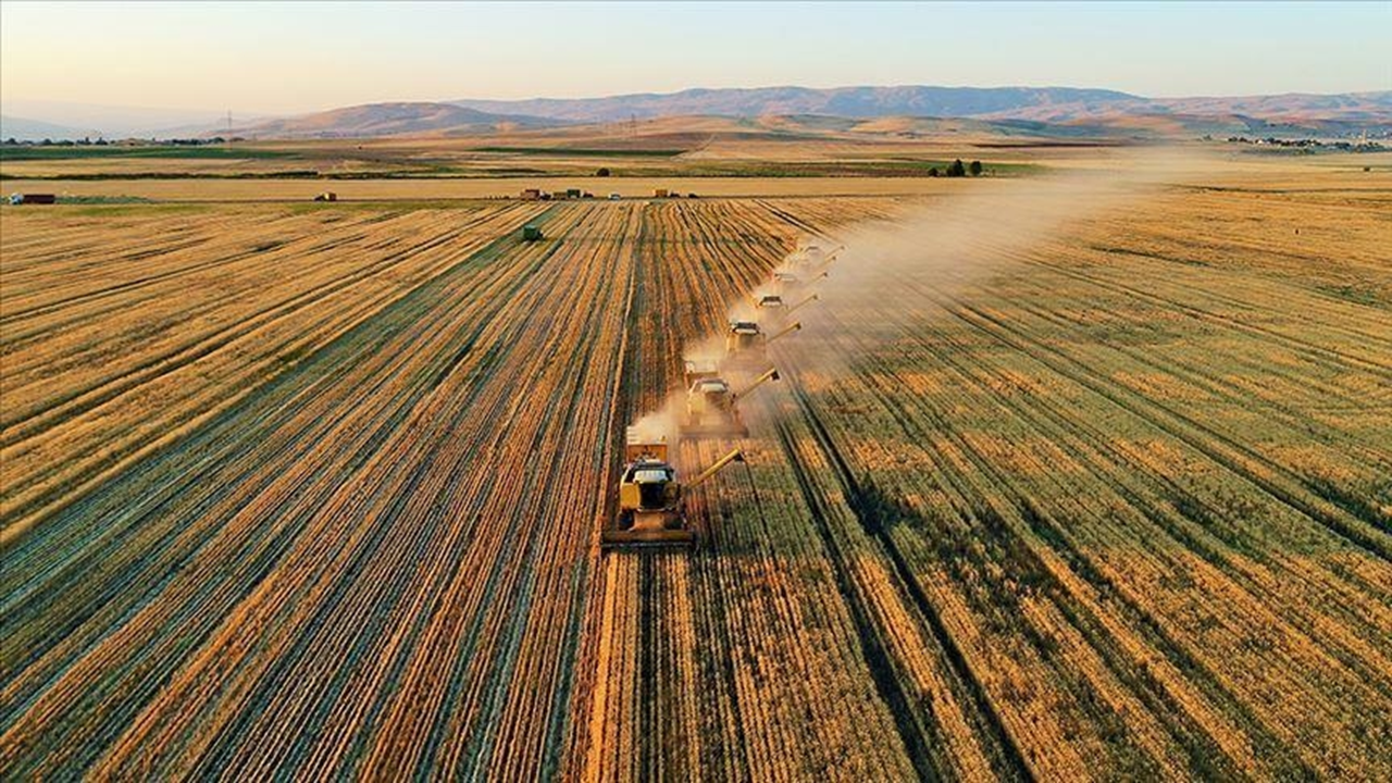 TARSİM'den Özbekistan adımı