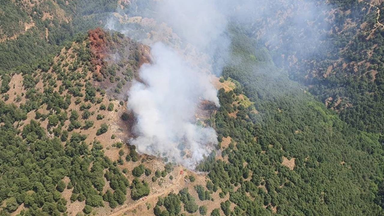 Son dakika: Manisa'da orman yangını... Müdahale ediliyor