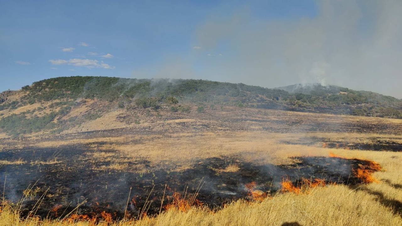 Tunceli'deki orman yangını sürüyor: Havadan ve karadan müdahale