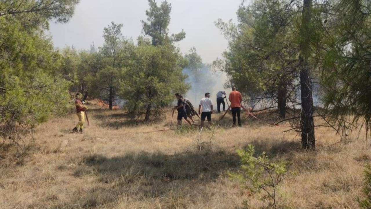 Denizli’de orman yangını: Havadan ve karadan müdahale ediliyor