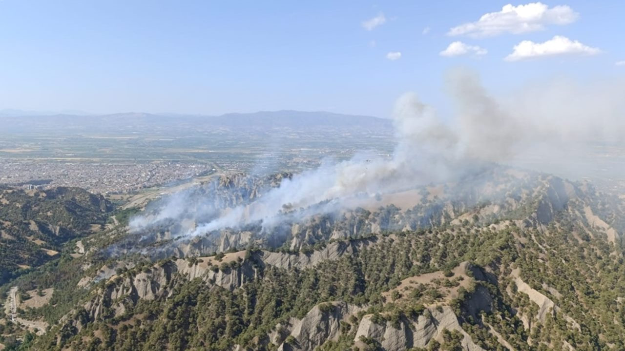 Manisa'da orman yangın