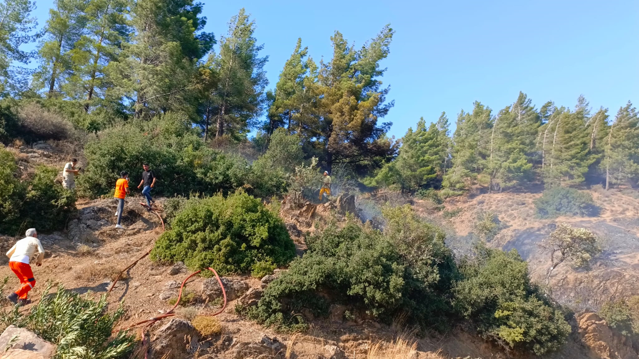 Hatay'da orman yangını!