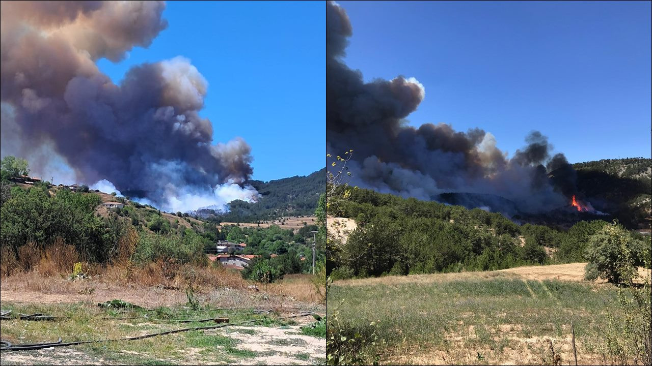 Bolu'da orman yangını