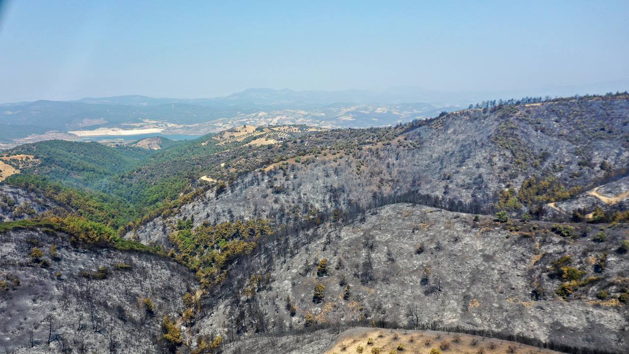 Ege ormanları yangın sonrası griye döndü!