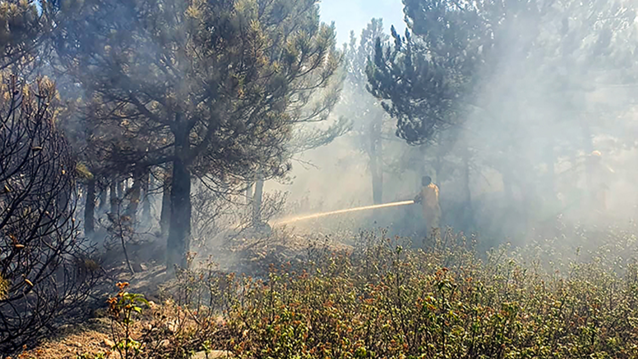 Afyon orman yangını şüphelisi gözaltına alındı