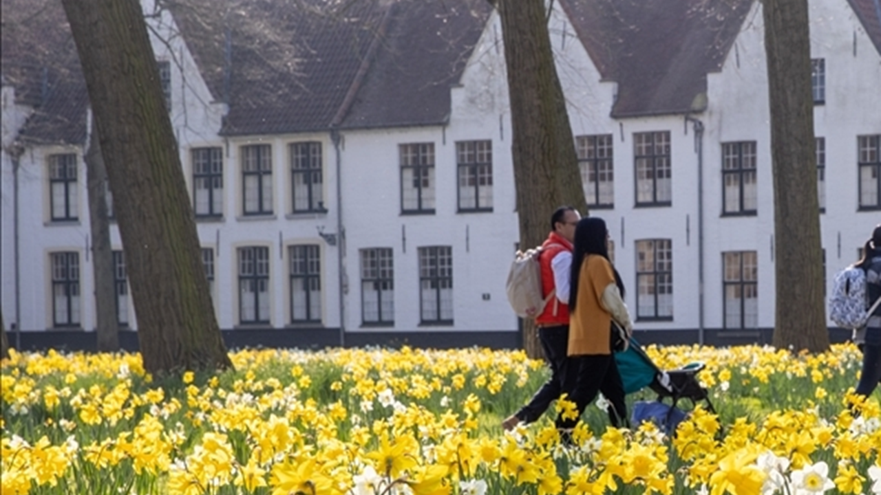 Brugge için 'aşırı turizmle mücadele' yasakları geliyor