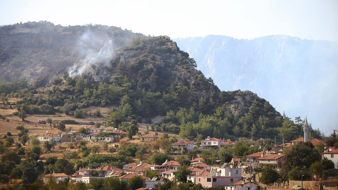 Muğla'da orman yangını!