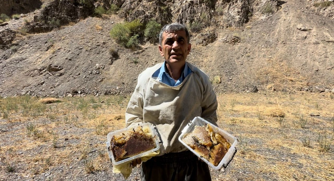 Cilo Dağı'nda 12 yıl önce keşfetti, kilogramını 3 bin TL'den satıyor - Sayfa 4