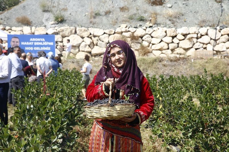 Kilosu 300 liraya satılıyor: Üreticinin yüzü gülüyor - Sayfa 3