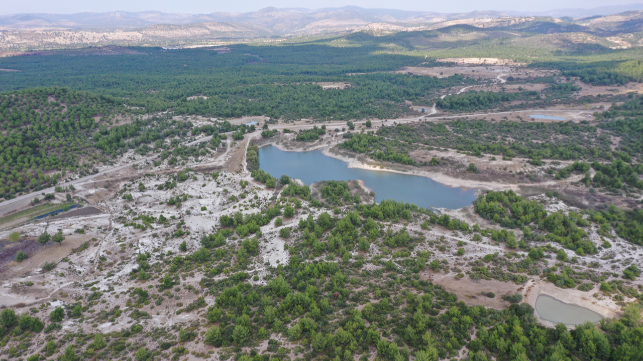 Manisa'daki 'Osmancalı Fosil Ormanı' artık bir tabiat anıtı 