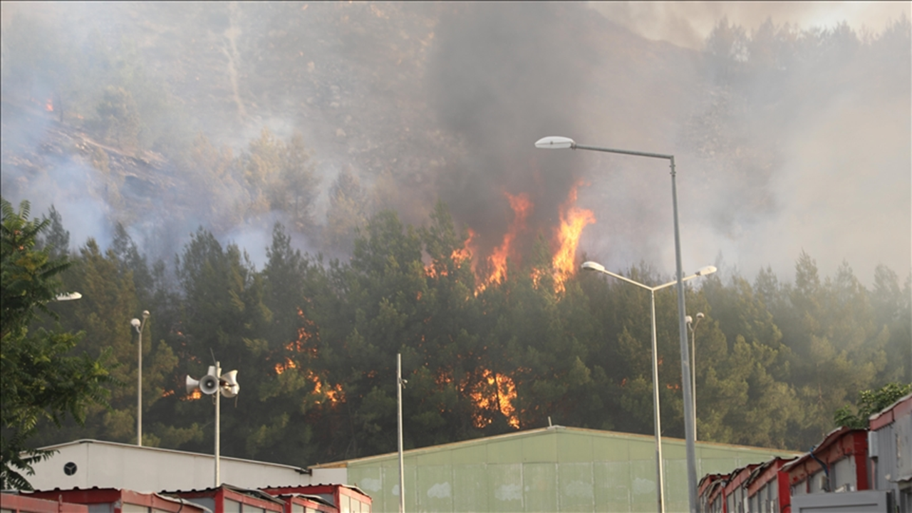 Bodrum'daki tersane atölyesi yangında zarar gördü