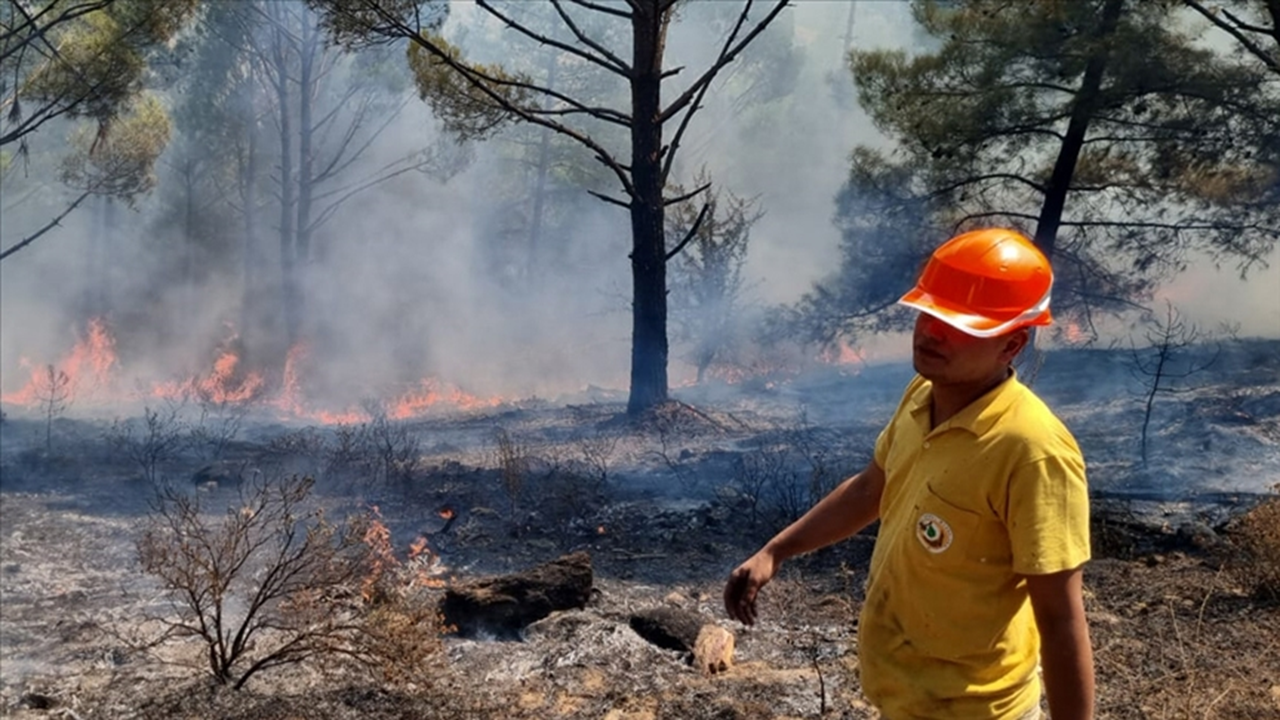 Muğla'da 1 hektar ormanlık alan küle döndü