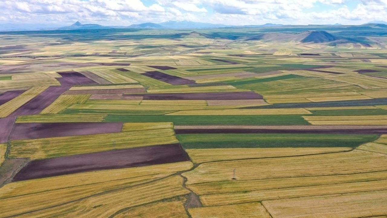 Hükümet harekete geçti: Boş bırakmak yok