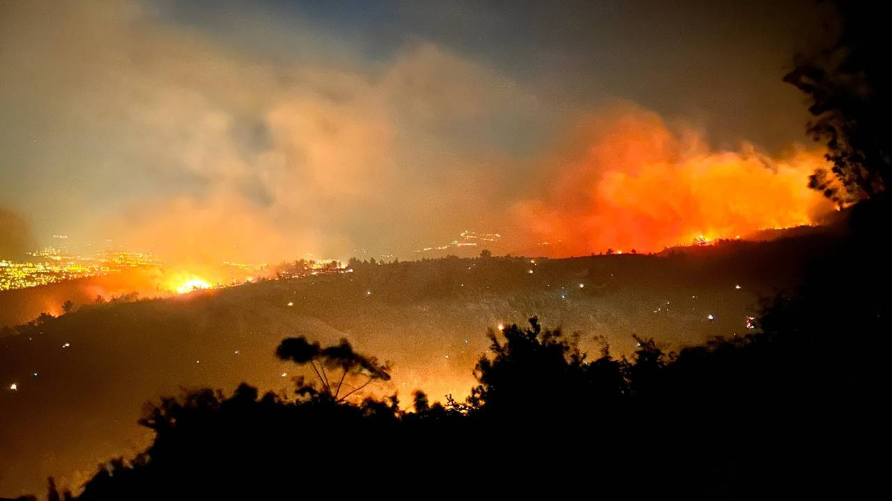 Hatay Arsuz'da orman yangını!