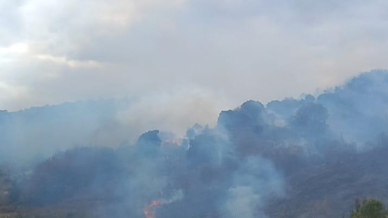 Çanakkale’deki yangın kontrol altına alındı