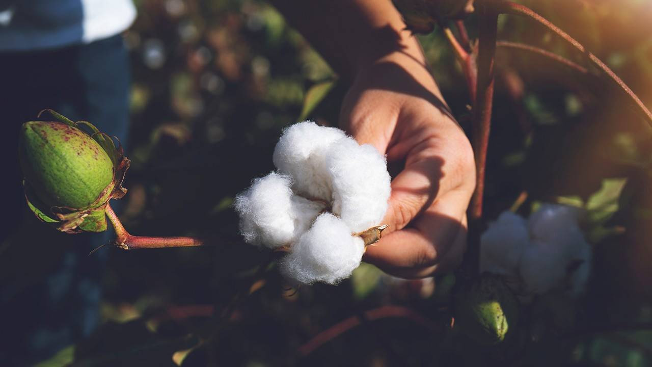 'AB’nin polyester hamlesi Türk tekstiline büyük zarar verir'