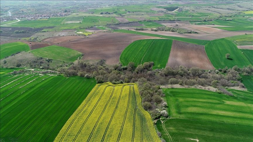 Toprak sahibi olmak isteyen için büyük fırsat: TOKİ 46 ilde arsa satışına başlıyor - Sayfa 1