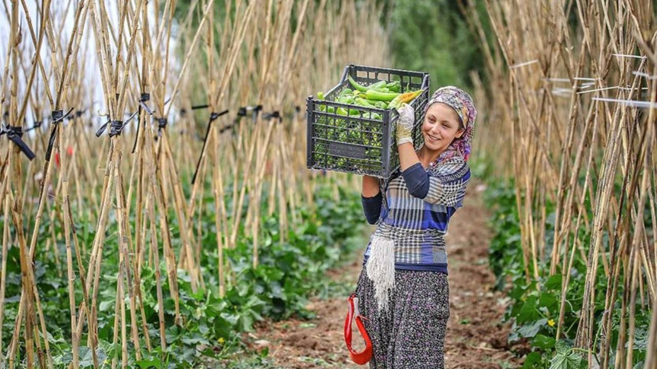 'Çiftçiye yüzde 70 enerji desteği!'