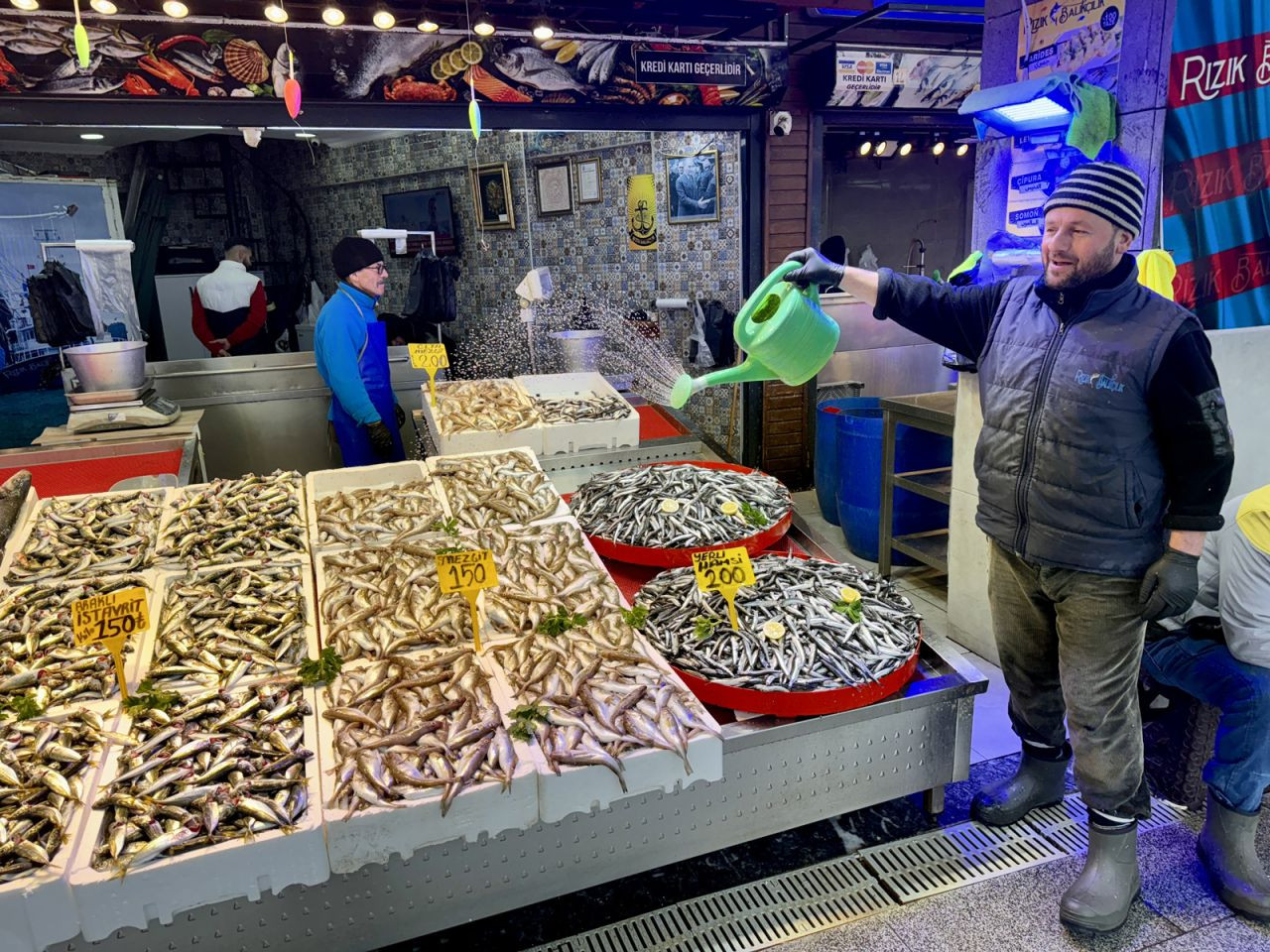 En ucuz balık ne kadar? Mezgit, istavrit, hamsi, levrek, çinekop, çipura, palamut! İşte fiyatlar - Sayfa 4