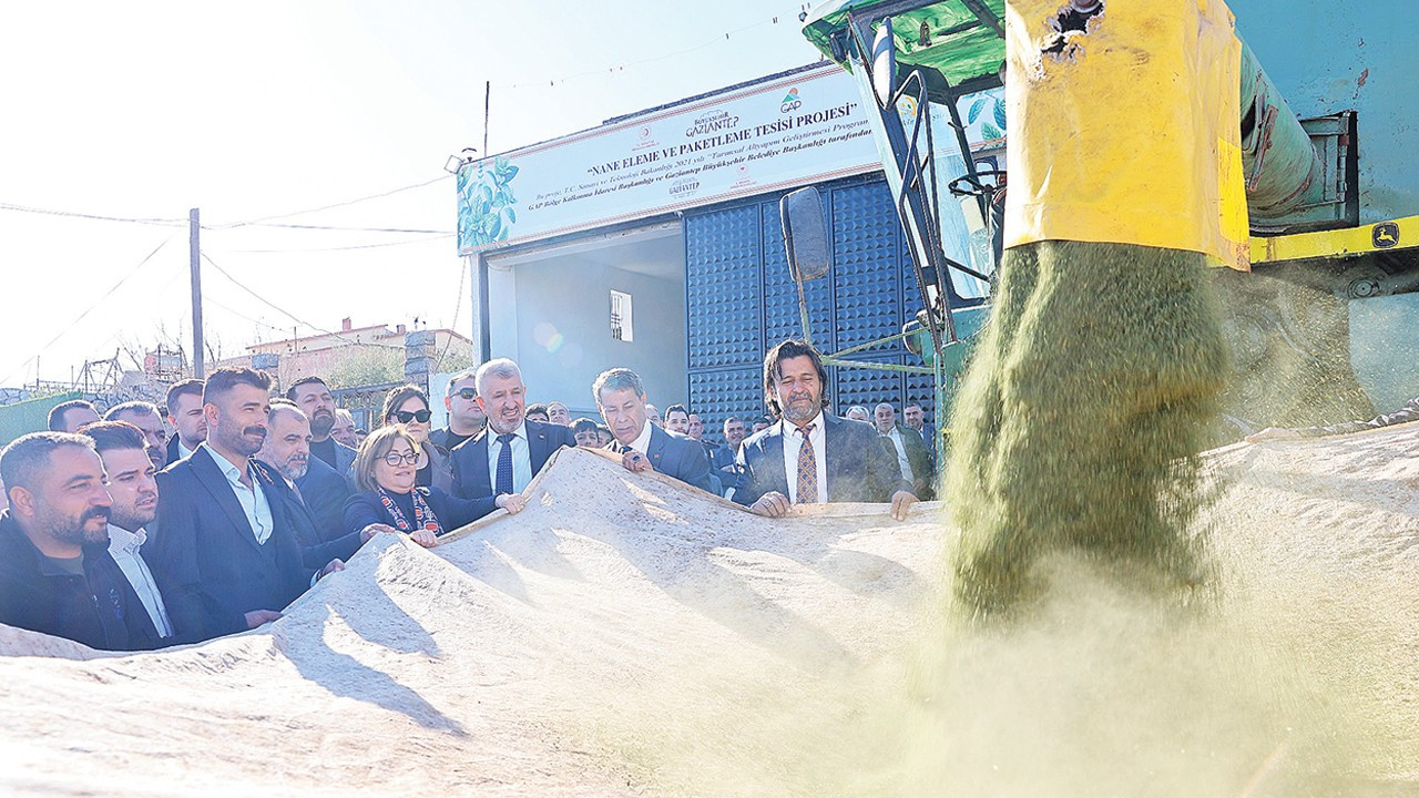 Gaziantep'e yeni nane eleme ve paketleme tesisi kuruldu