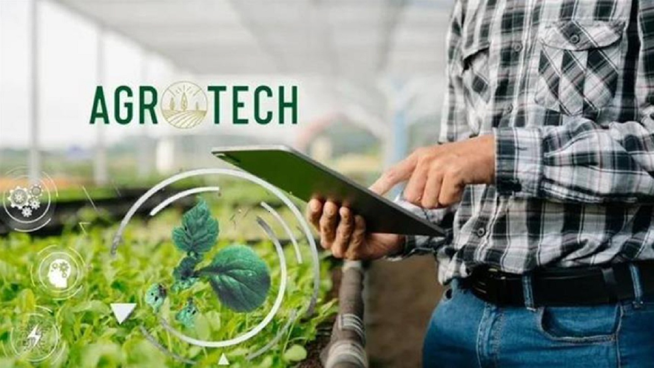 Agrotech, toptan ve perakende mağazacılık sektörüne giriyor