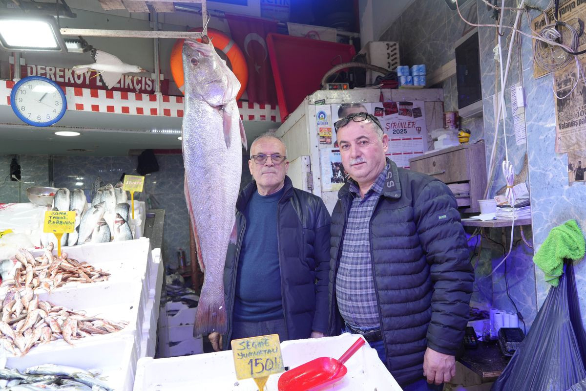 Gören köpekbalığı sanıyor! Karadeniz'de yakalandı, 10 dakikada 6 bin liraya satıldı - Sayfa 3