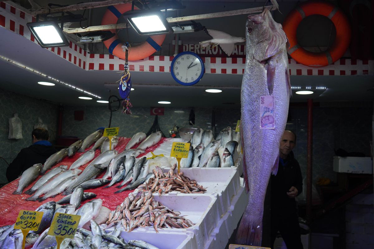 Gören köpekbalığı sanıyor! Karadeniz'de yakalandı, 10 dakikada 6 bin liraya satıldı - Sayfa 4