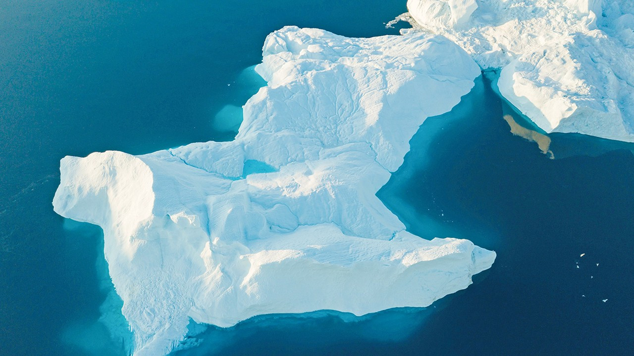 Karbon yutağı karbon yuvasına döndü